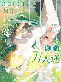 消失的蝴蝶发夹